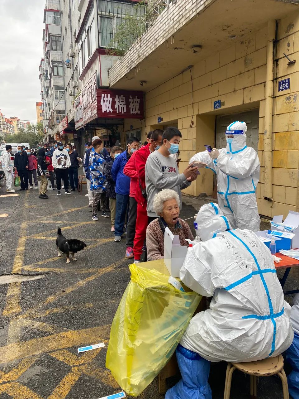 https://mmbiz.qpic.cn/mmbiz_jpg/hcJ49wJDAwkuEqz9MdWZNQh4icWy0MyQHR7aicRWEDNicuQljxnXsz5dvzGh0mN4icBtl4QvO4g4Gz8pqp8tfBZvYg/640?wx_fmt=jpeg