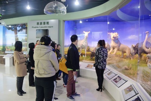 我校教师参观哈尔滨师范大学动植物博物馆