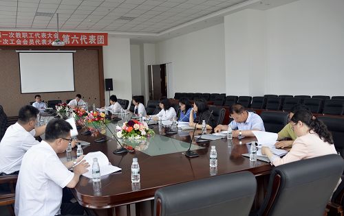 第六代表团讨论现场