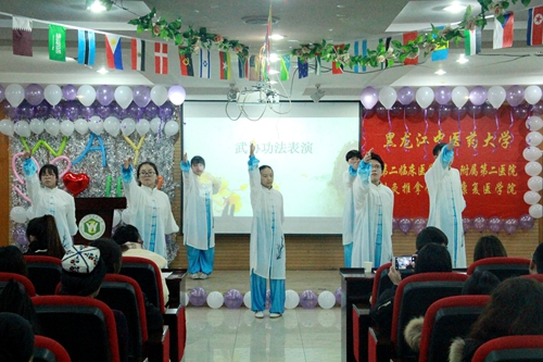 武术表演