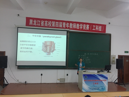 自然科学应用学科组三等奖获得者我校张玉瑶老师在比赛中