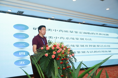 湖北中医药大学黄必胜教授作大会报告